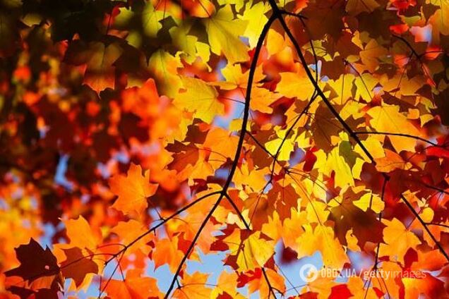 Тепло отступает: синоптики дали свежий прогноз погоды в Украине