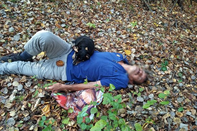 Пронизливо завивав: маленький песик врятував українця від смерті. Фото