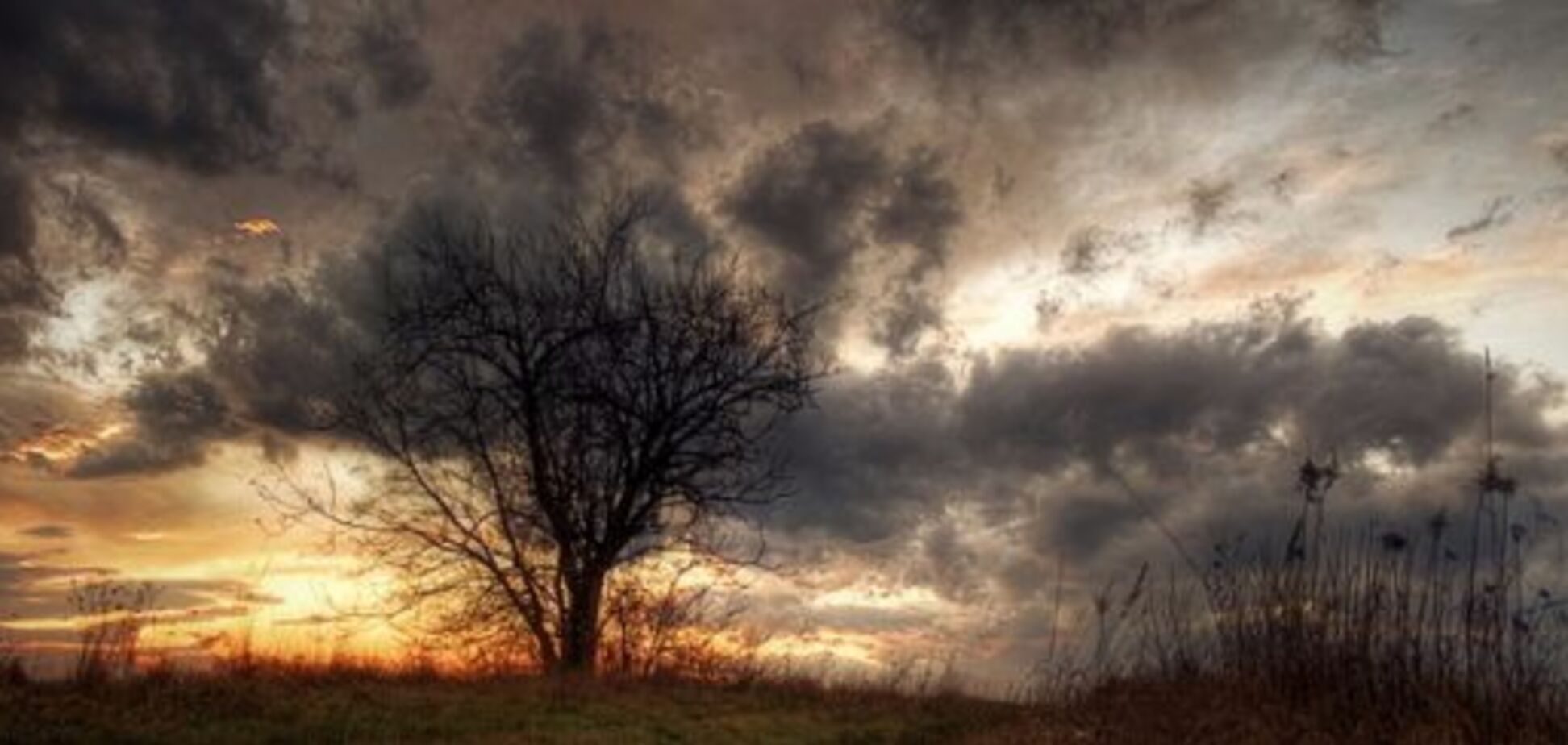 Хмарно і без опадів: з'явився прогноз погоди в Дніпрі