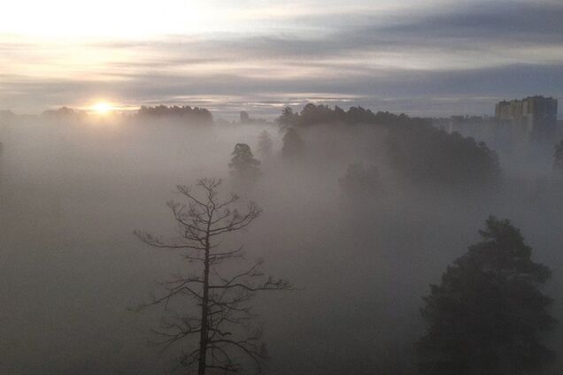 Туманы и сильный ветер: синоптики предупредили о резком ухудшении погоды в Украине