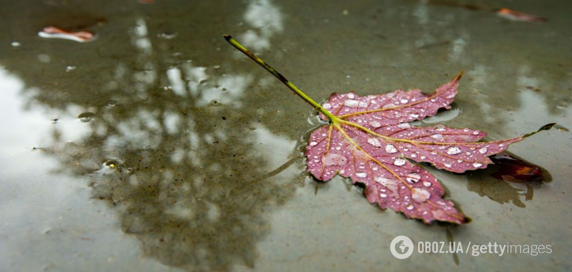 Тепло, але сиро: синоптики уточнили прогноз погоди в Україні