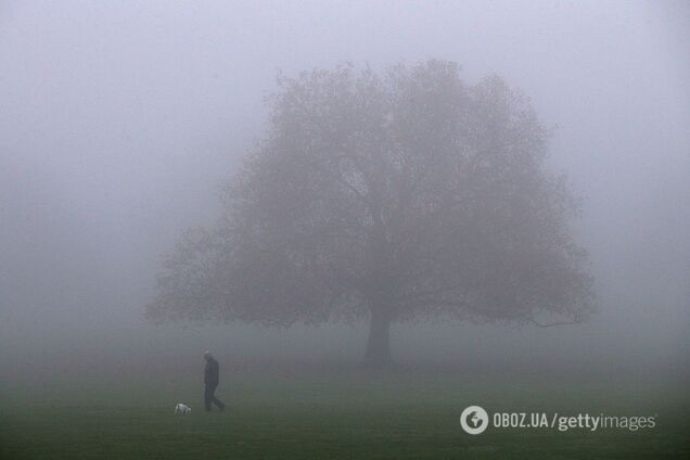 Туман в Украине: появились свежие данные о загрязнении воздуха