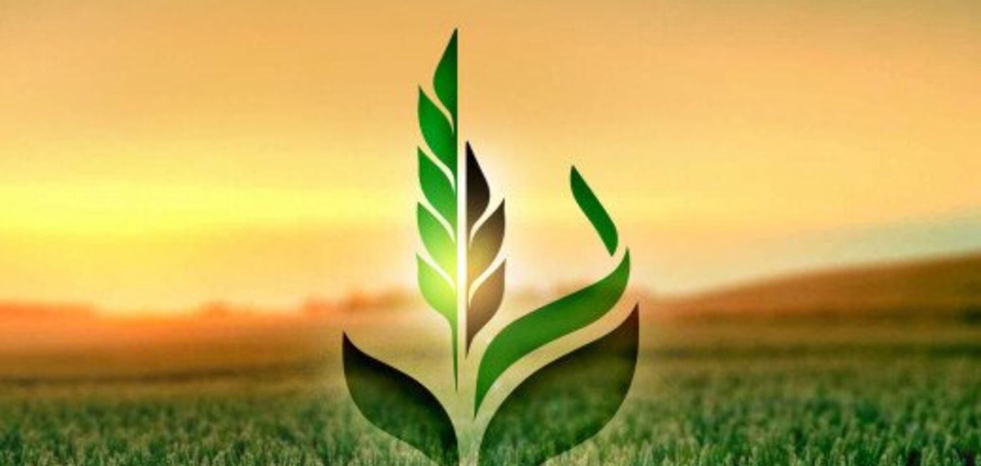 Логотип ПАО 'Аграрный фонд'