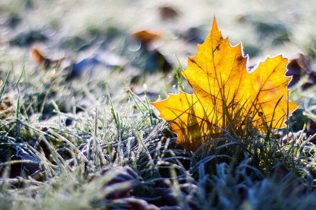 Еще одно потепление? Синоптик удивила прогнозом погоды в Украине