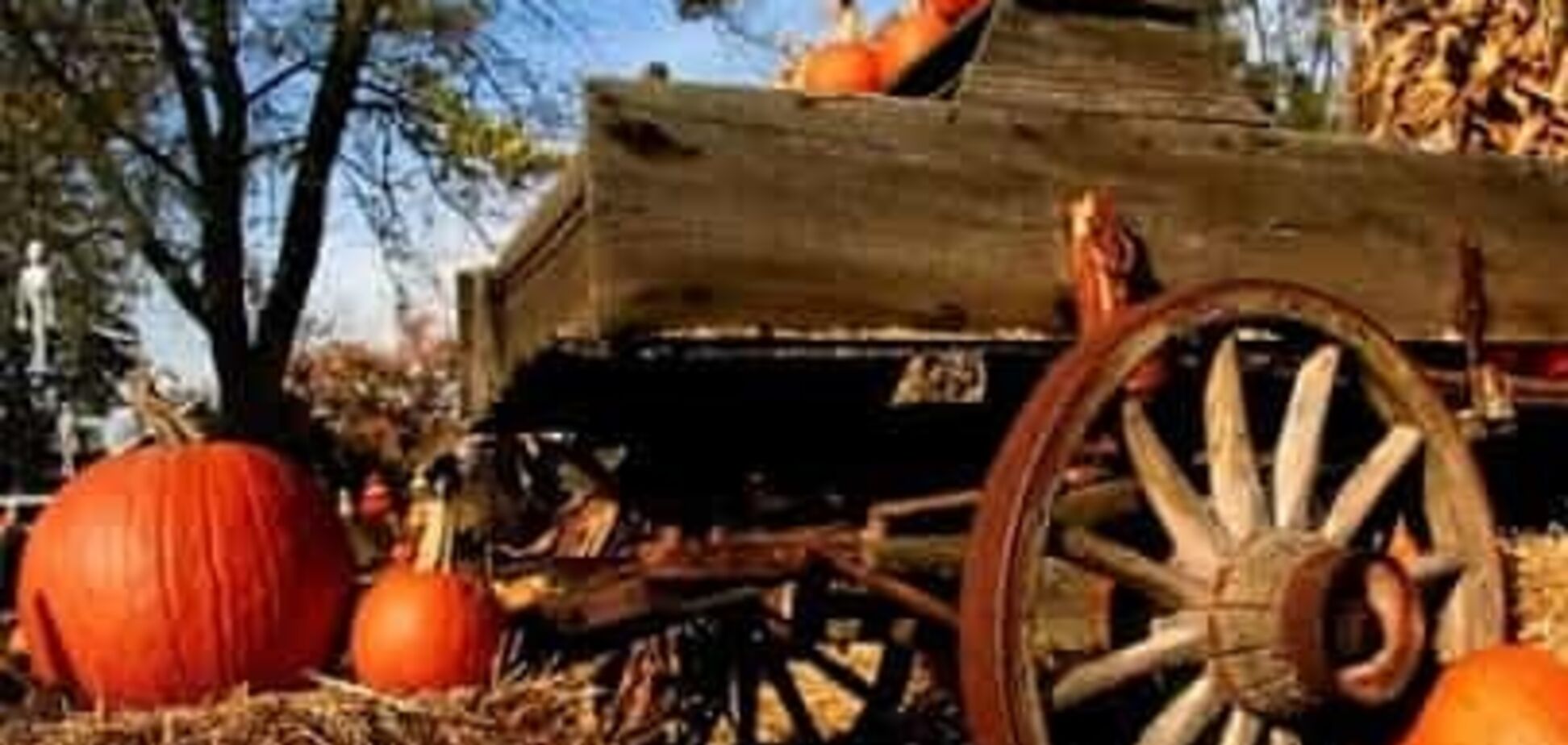 Приметы и праздники 30 октября: что нельзя делать