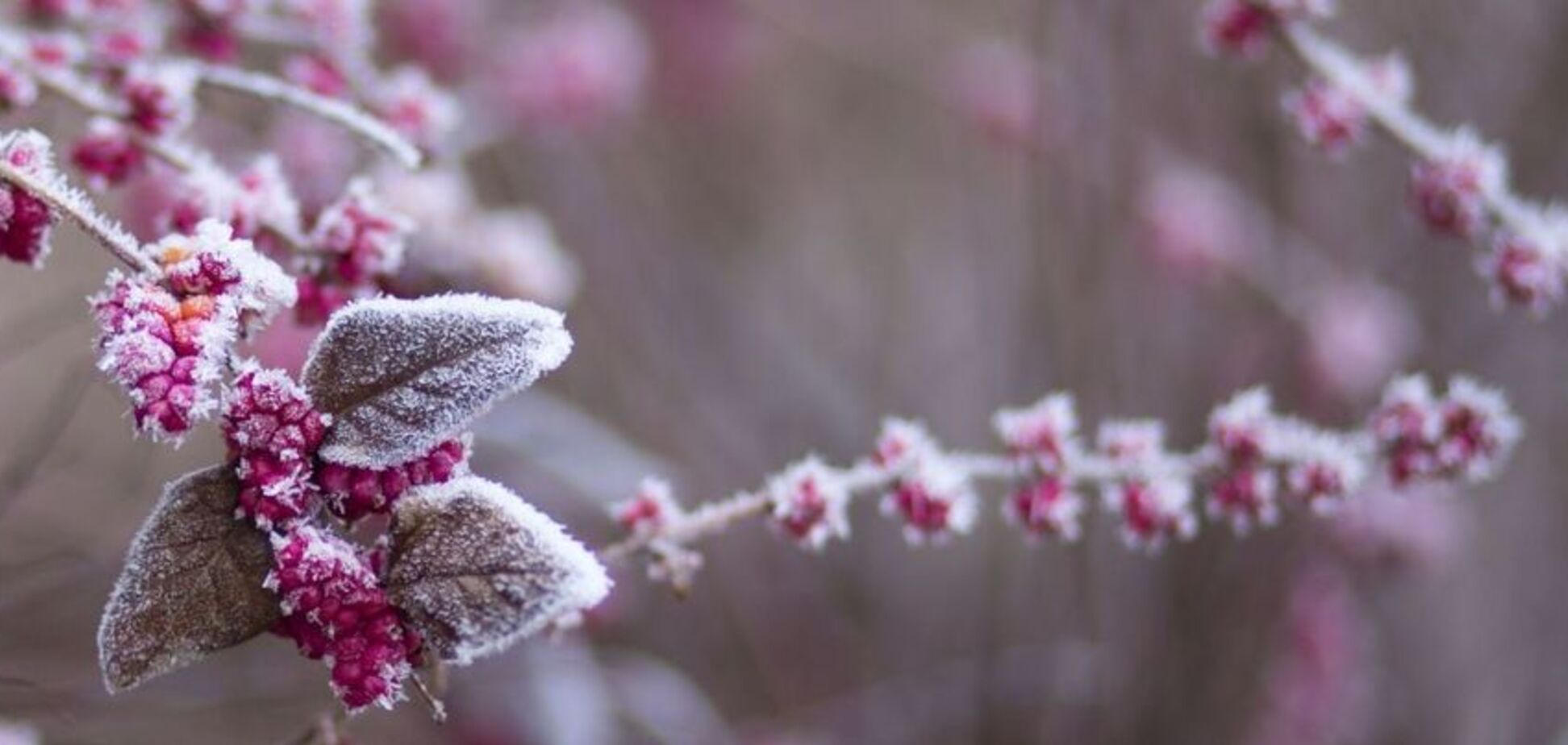 До -5 і сніг: названі дати серйозного похолодання в Україні