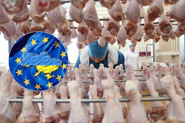 Это дискриминация: птицеводы Украины выступили против изменений в торговле с ЕС