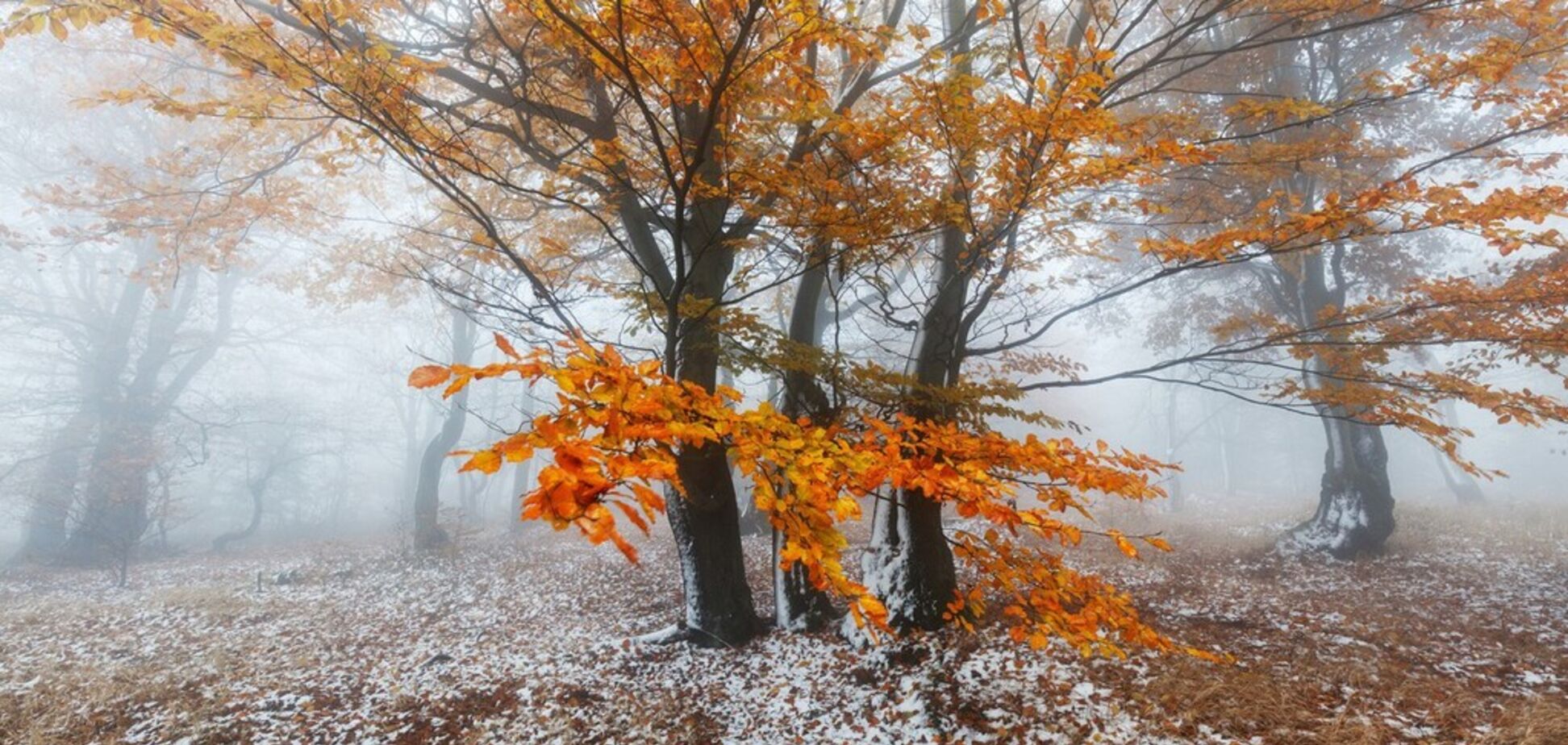 Перший сніг і -11: синоптик уточнив прогноз погоди на листопад в Україні