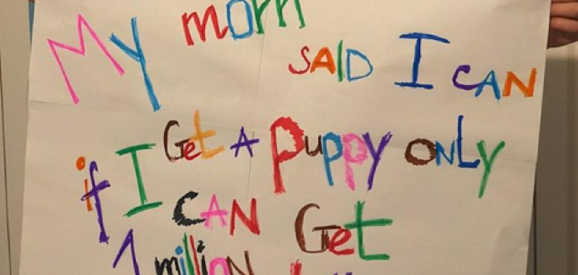 Мама пообіцяла школяру з Кропивницького собаку за мільйон лайків у Instagram: що з цього вийшло
