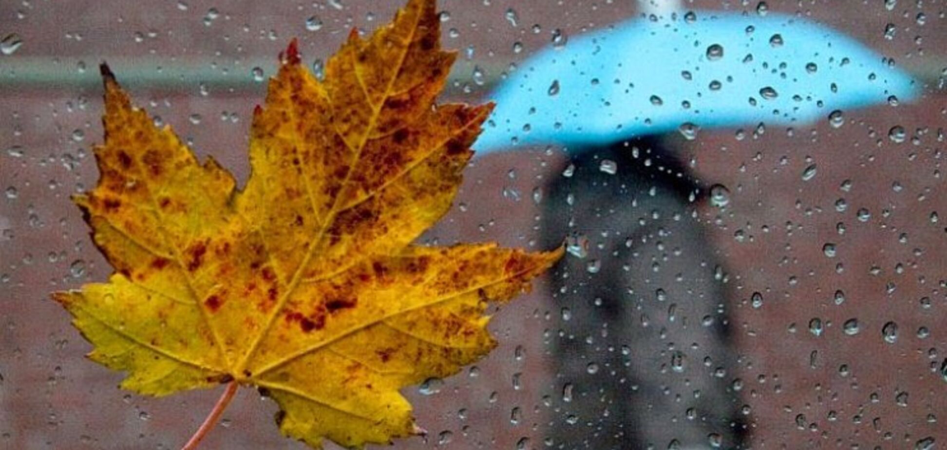 На Украину надвигается буря: назван регион