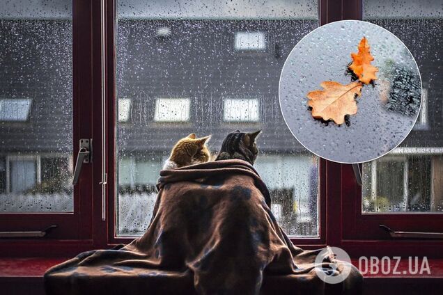 "Это же осень!" Синоптик назвала дату похолодания в Украине