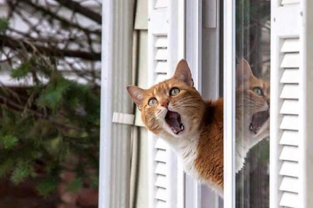 В Днепре голая женщина сорвалась с окна многоэтажки