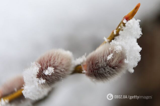 В Україну прийшли сильні морози. Фото