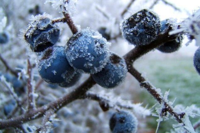 Зима близко: синоптики назвали даты похолодания в Украине