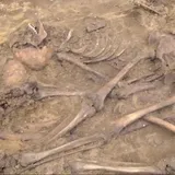 Стреляли в затылок и добивали кастетом: на Львовщине нашли останки 61 человека. Видео 18+