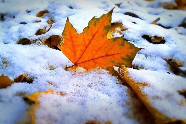 В Киеве выпал снег