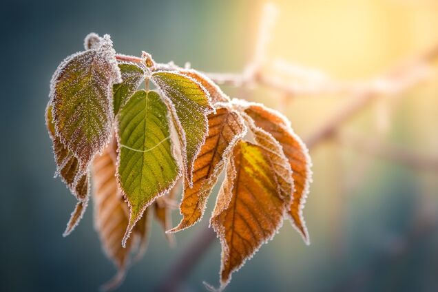 Вдарить -8: синоптикиня уточнила прогноз погоди в Україні