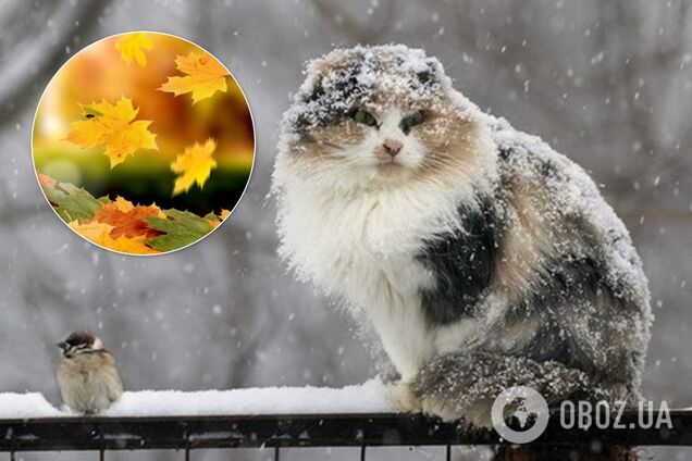 Майже зимова погода: синоптикиня назвала дати сильного похолодання в Україні