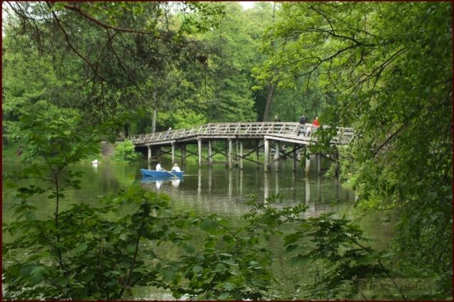 Пуща-Водиця