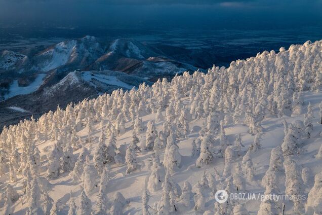 Украинские курорты начало засыпать снегом: появились яркие фото