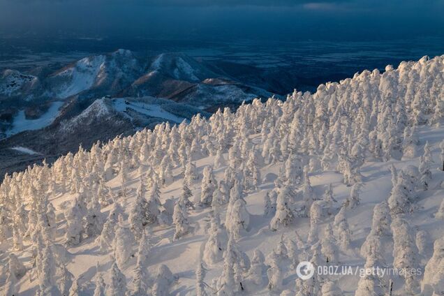 Українські курорти почало засипати снігом: з'явилися яскраві фото