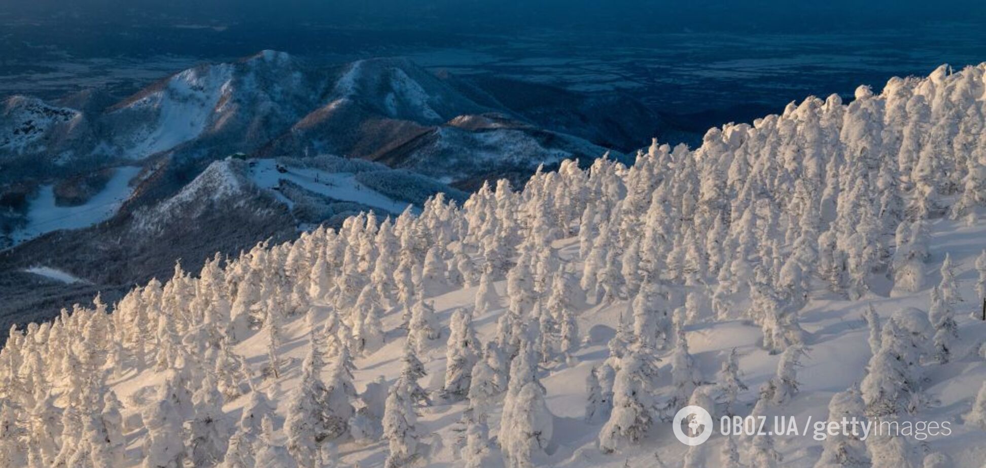 Українські курорти почало засипати снігом: з'явилися яскраві фото
