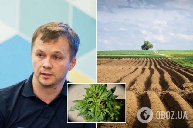 'Меня никогда не интересовала Украина': как министр Милованов сохраняет старые аграрные схемы