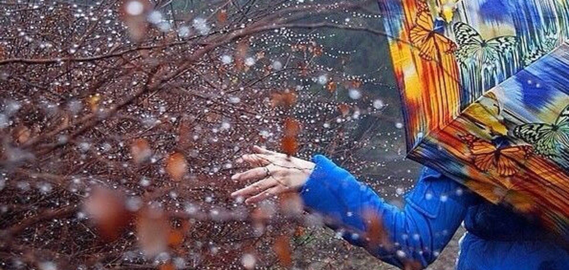 До -3: синоптики предупредили о морозах в Украине