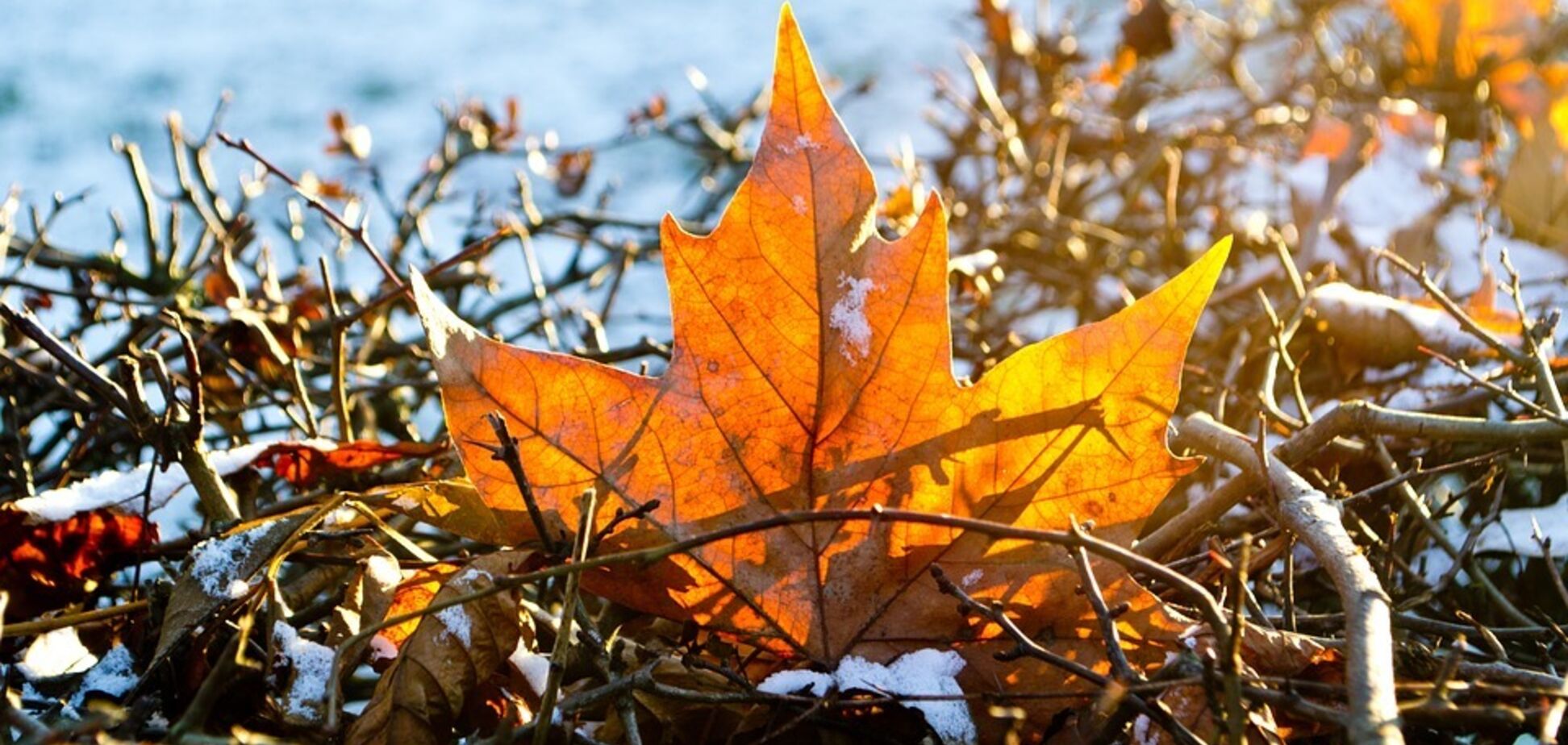 Літо повернеться: синоптик дала несподіваний прогноз погоди в Україні