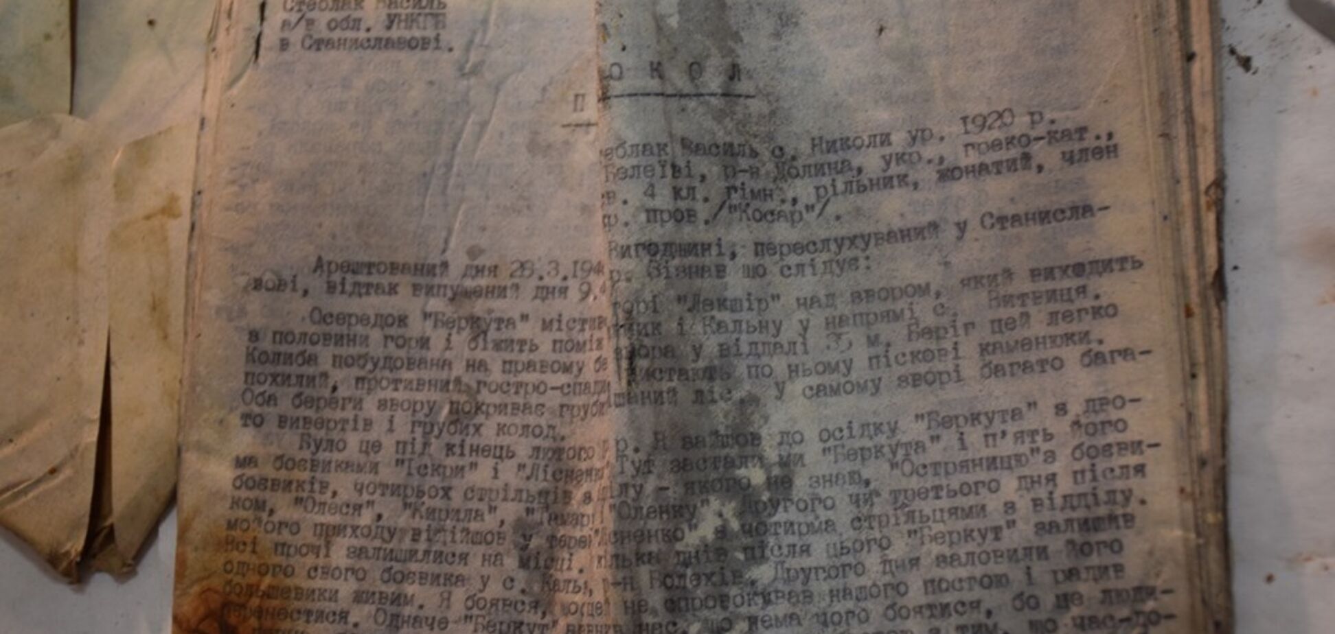 Секретные архивы УПА нашли в лесу на Прикарпатье