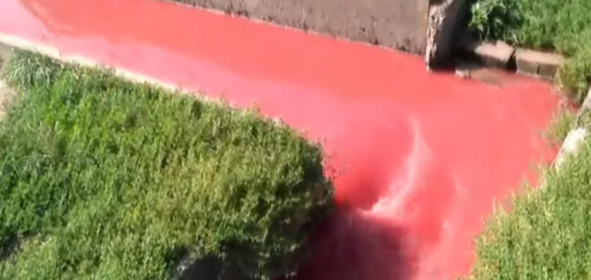 Течуть криваві ріки: на Волині забили на сполох через екологічну катастрофу