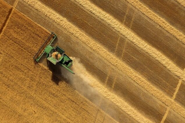 Показать, откуда деньги: после открытия рынка земли украинцев ждут важные изменения