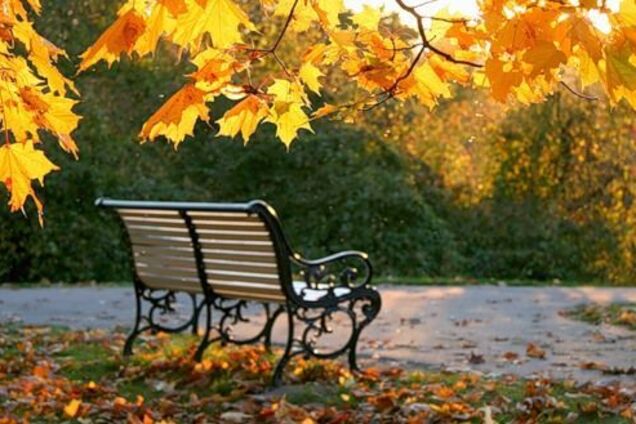 Холод відступить: синоптик дала теплий прогноз по Україні