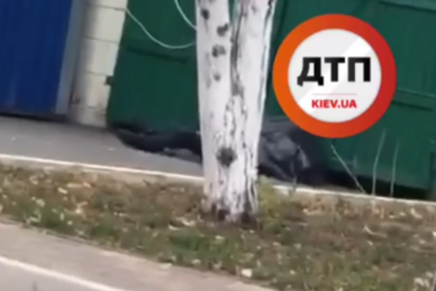В Киеве возле медуниверситета нашли труп
