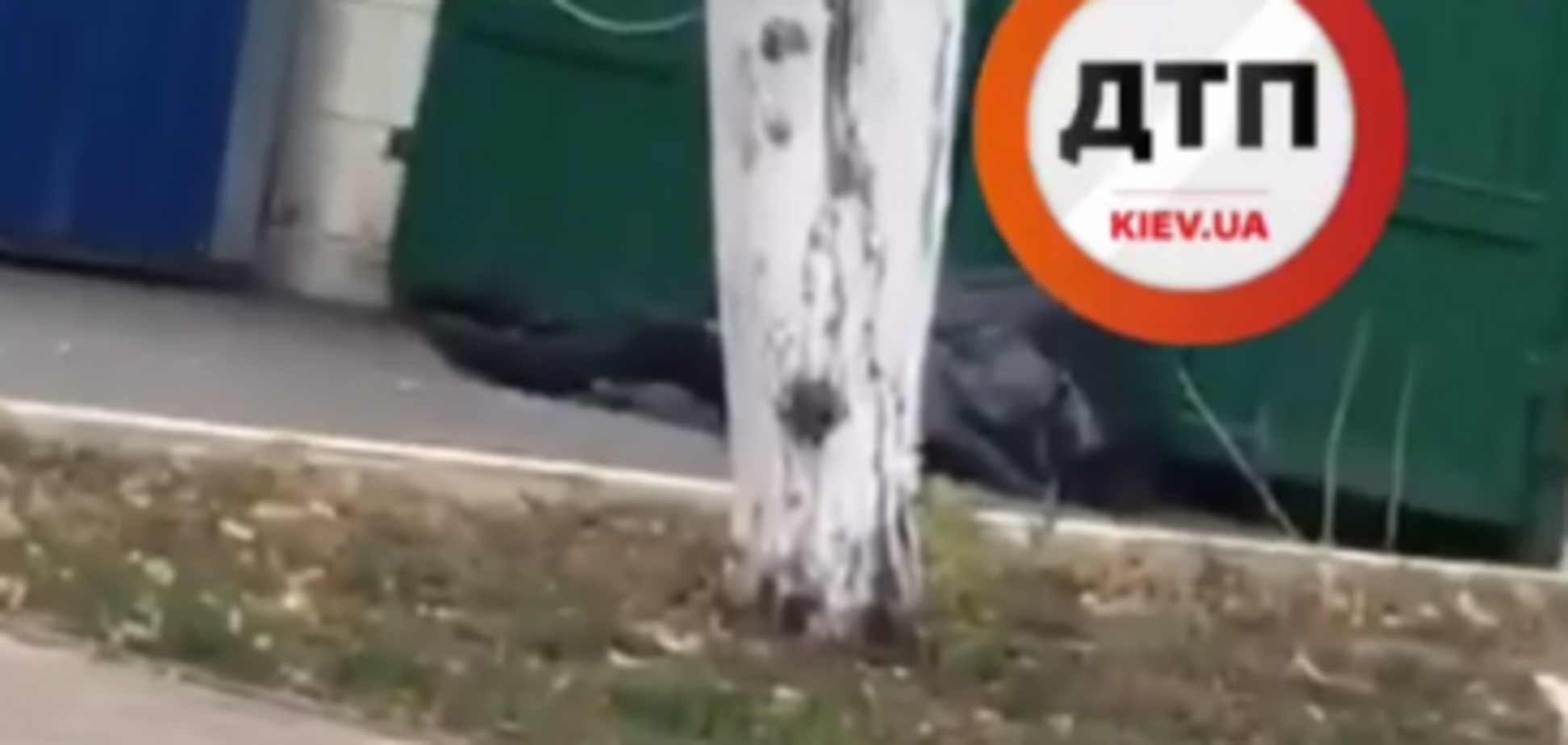 В Киеве возле медуниверситета нашли труп