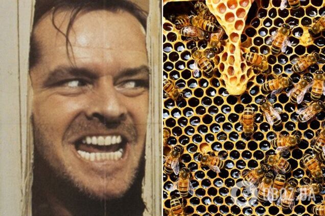 Прикмети й свята 10 жовтня: що не можна робити