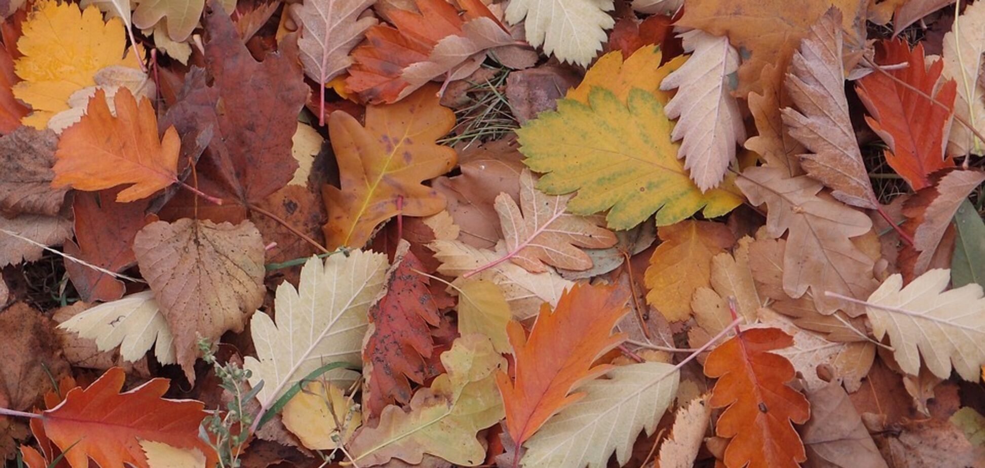 Мороз і сонце: з'явився прогноз погоди на вихідні в Дніпрі