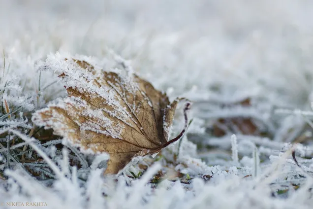 Погода в Украине