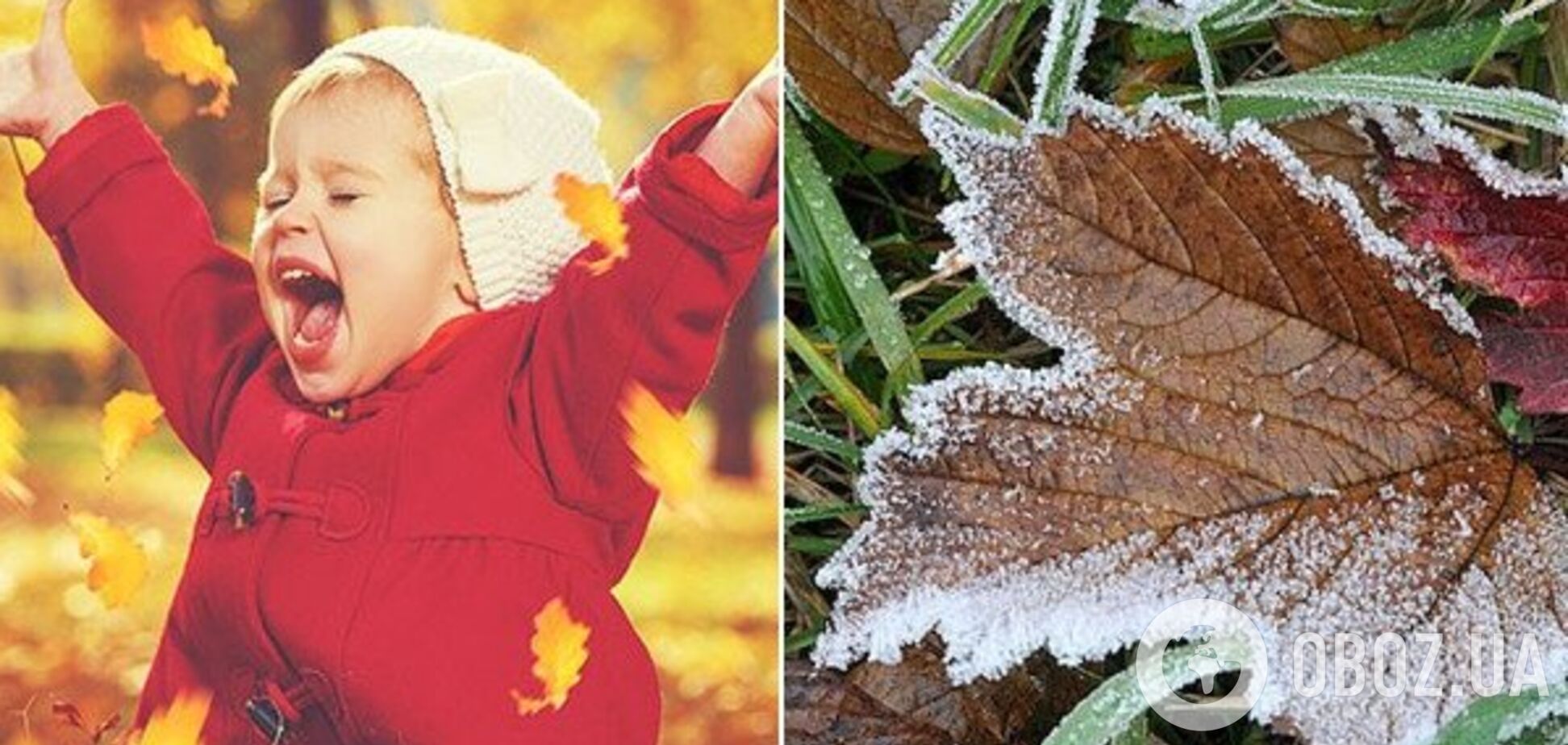 'Бабье лето' в Киеве побило четыре рекорда