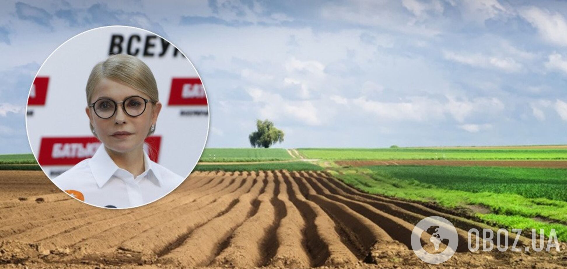 Рада остановила снятие моратория на продажу земли: в чем дело