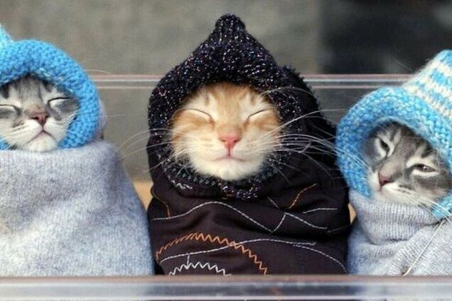 Похолодання