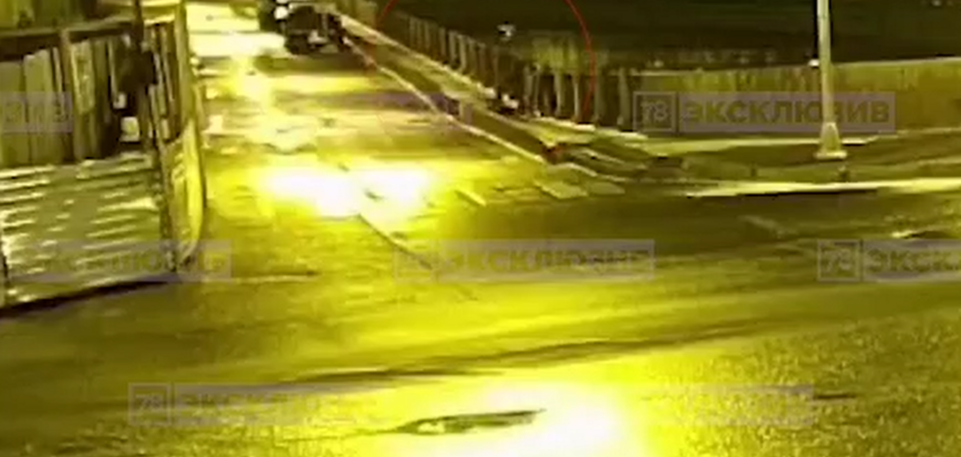 Вбивство студентки в Пітері: опубліковані моторошні кадри з професором-катом