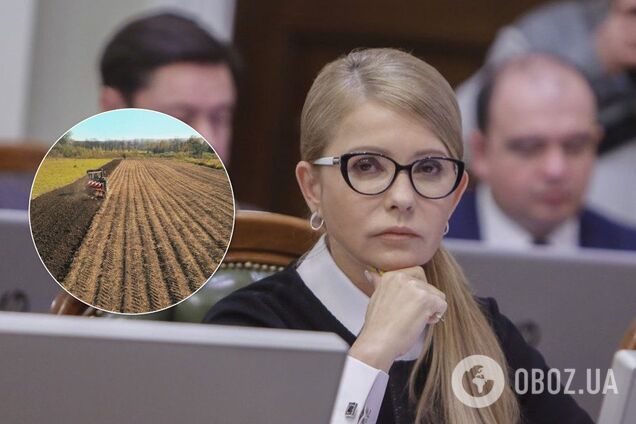 Угроза национальной безопасности: Тимошенко призвала к референдуму по земельному вопросу