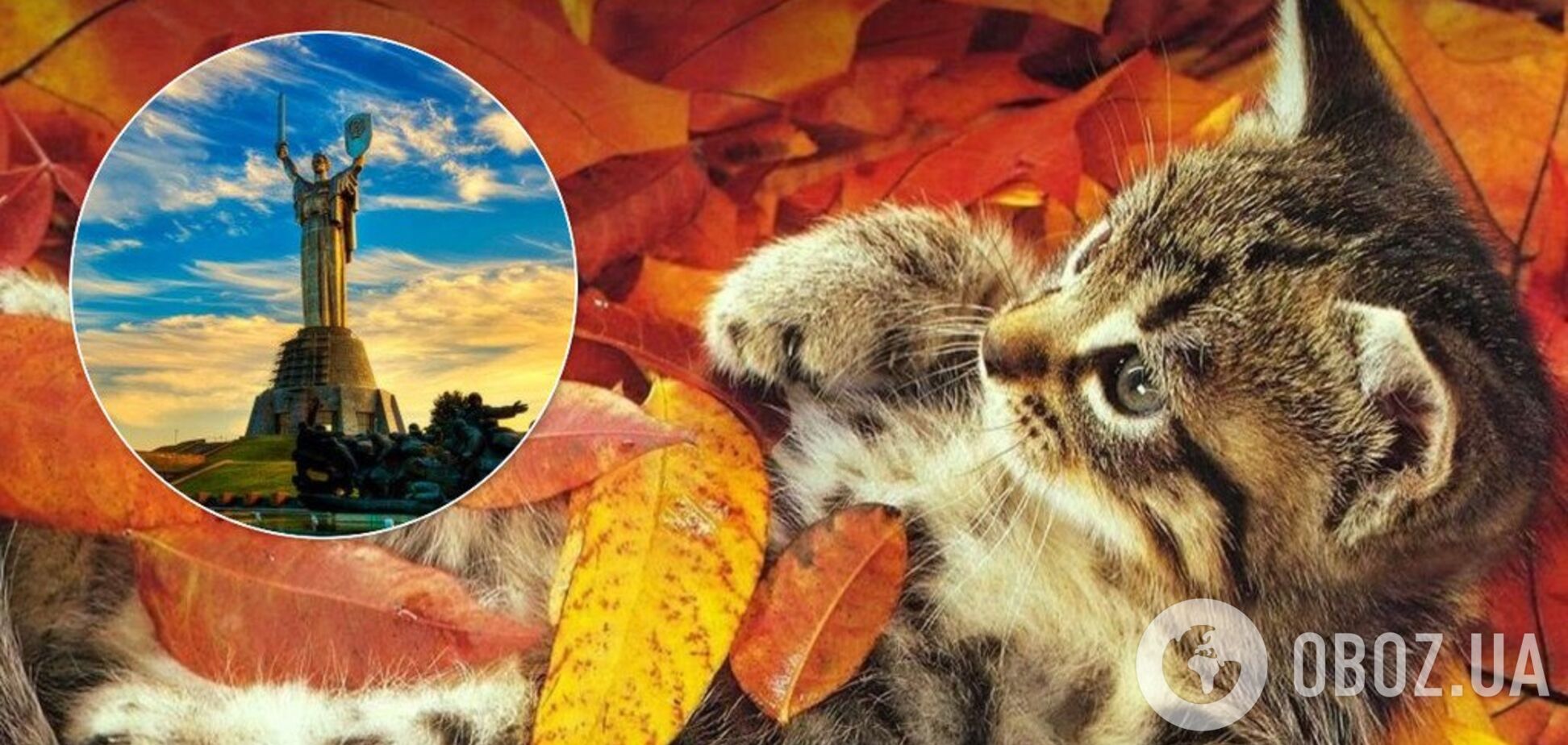 Погода в Киеве