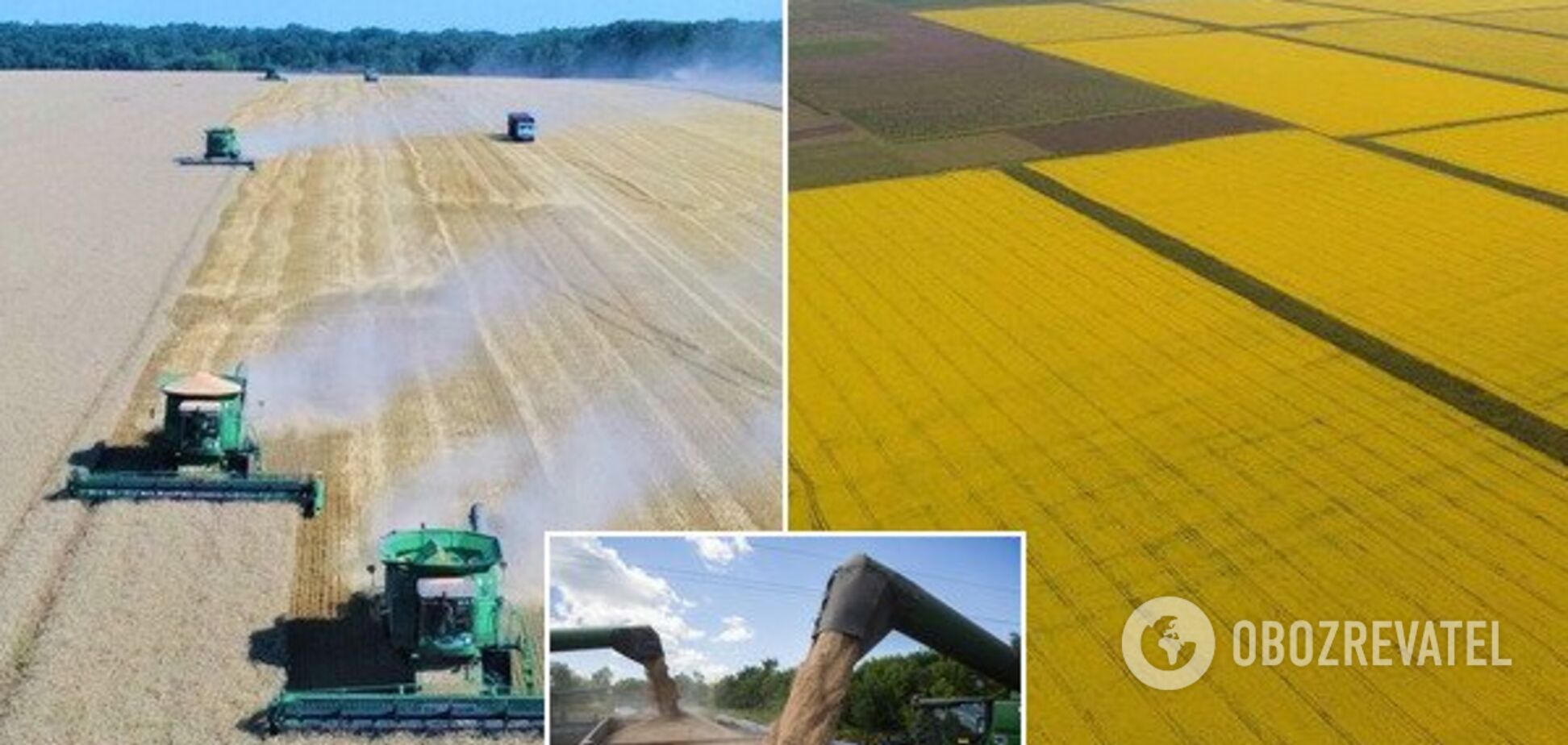 Побеждали засуху и боролись за работников: украинские аграрии подвели итоги 2019 года