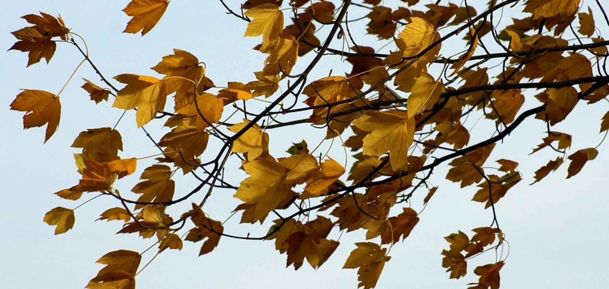 Шквальний вітер і +19: синоптикиня уточнила прогноз по Україні