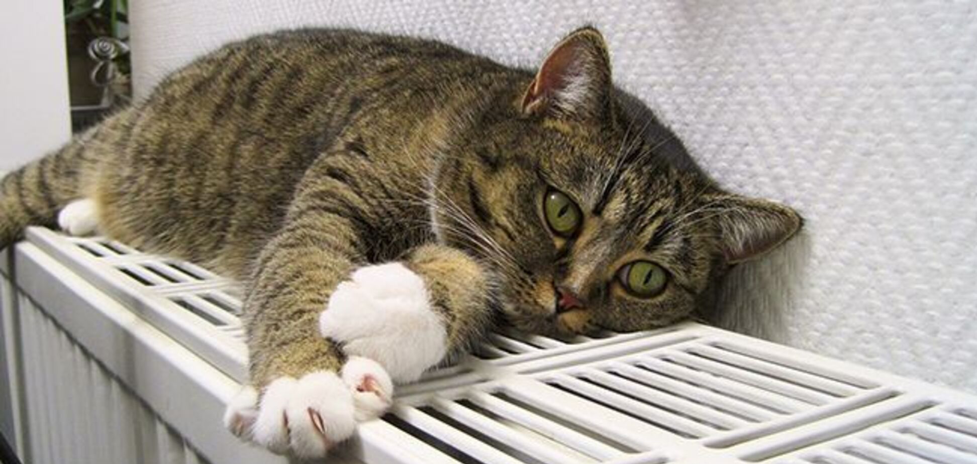 Куди звертатися в Дніпрі, якщо вам не дали опалення