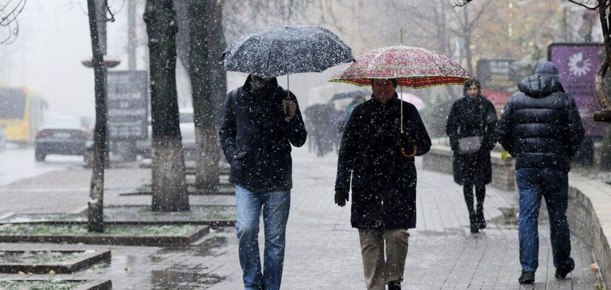 Дождей больше, чем снега: синоптики удивили зимним прогнозом по Украине