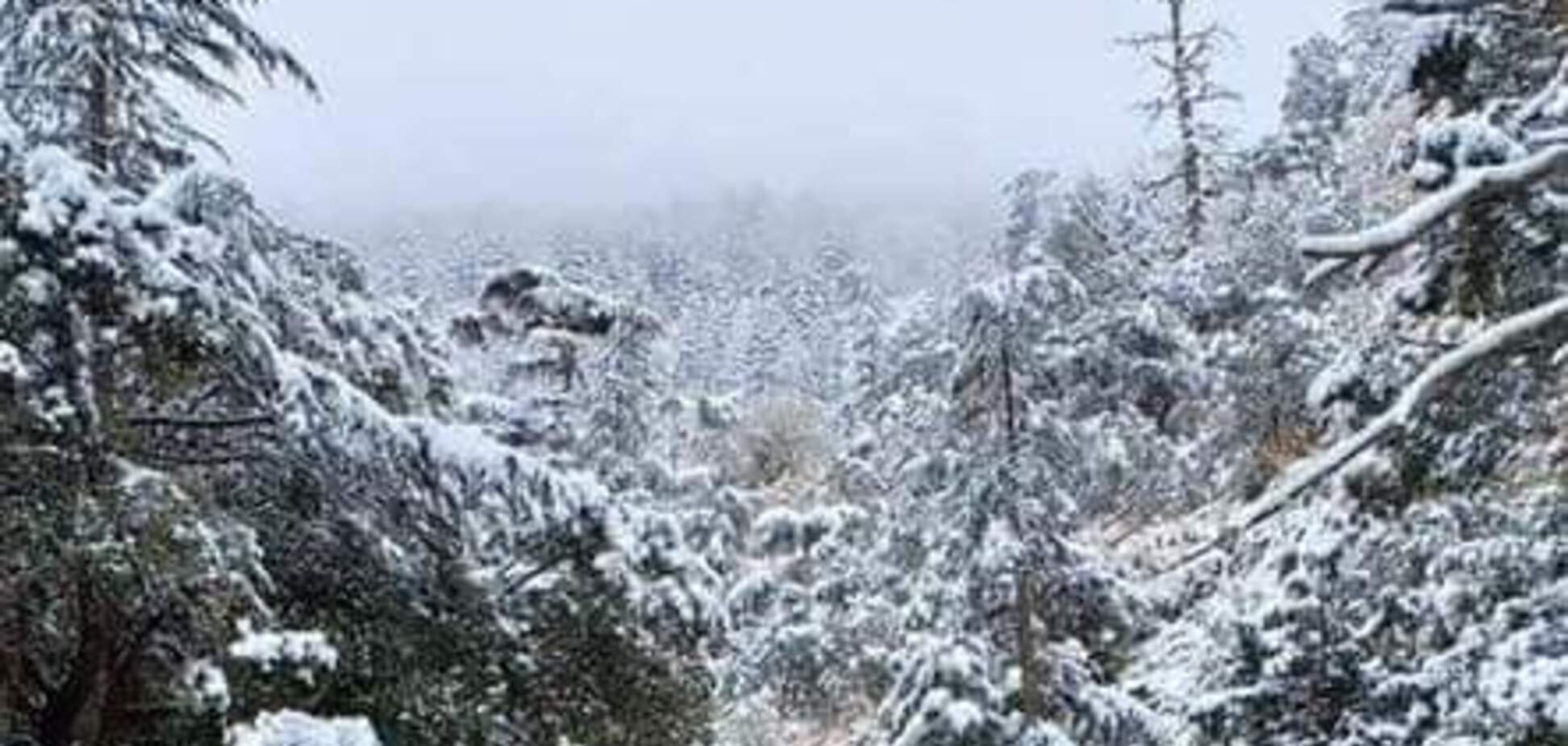 Сніг в північній Африці