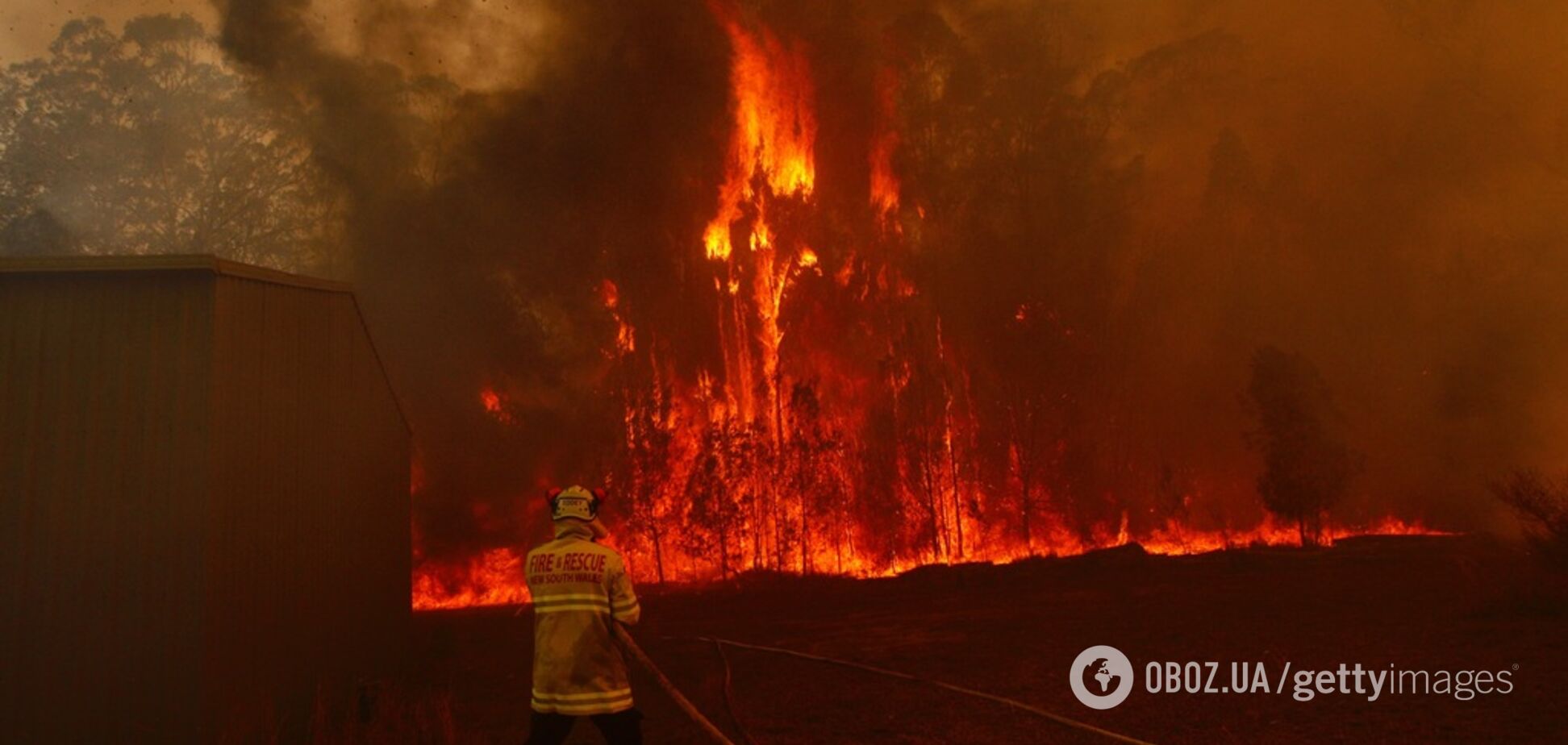 Вигорів мільярд гектарів: Австралію накрили страшні пожежі. Фото, відео